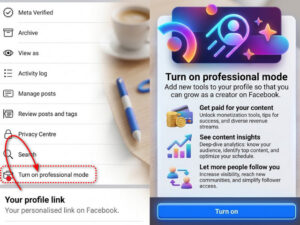 Apa Itu FB Pro di Facebook Lite