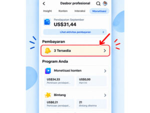 Ciri Ciri FB Pro Sudah Monetisasi Dengan Mudah