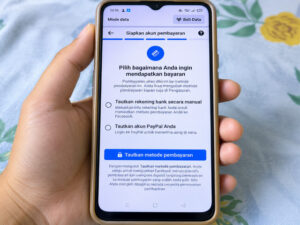 Apa Itu Akun Pembayaran FB Pro
