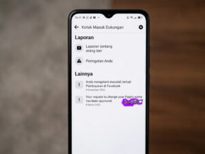 Apa Itu Pelanggaran di FB Pro